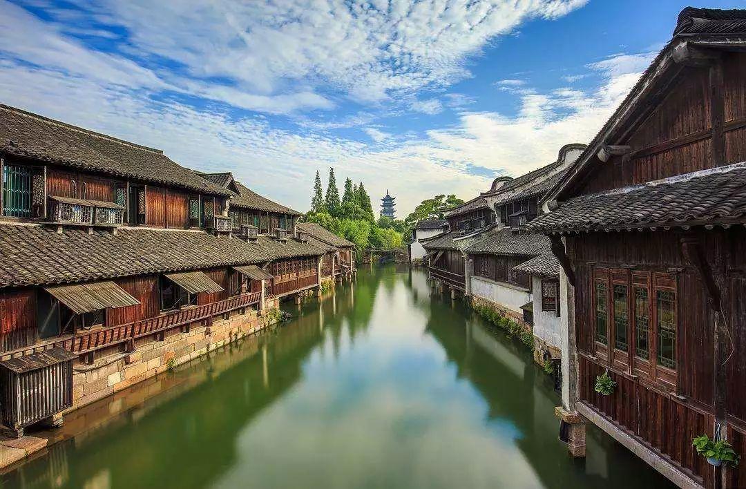 知识产权的客体是什么